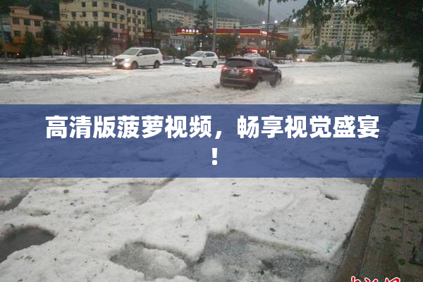 高清版菠萝视频，畅享视觉盛宴！