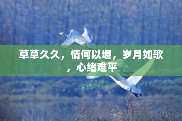 草草久久，情何以堪，岁月如歌，心绪难平