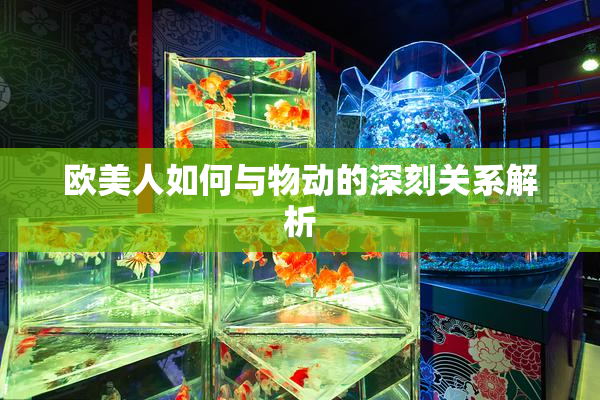 欧美人如何与物动的深刻关系解析