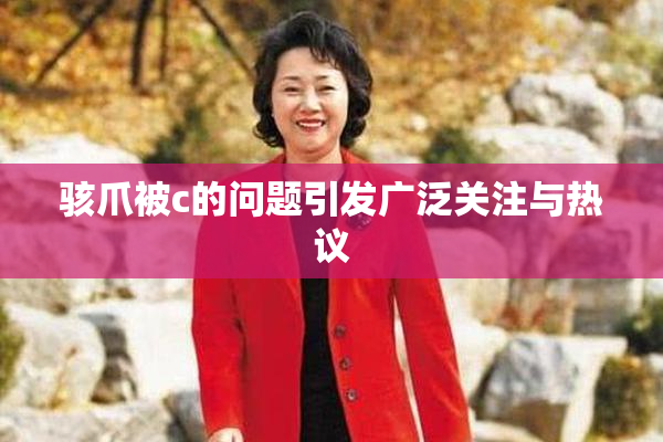 骇爪被c的问题引发广泛关注与热议