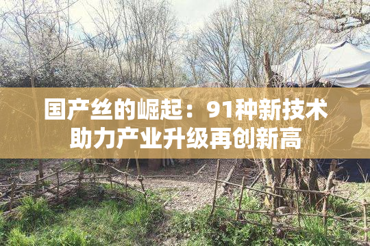 国产丝的崛起：91种新技术助力产业升级再创新高