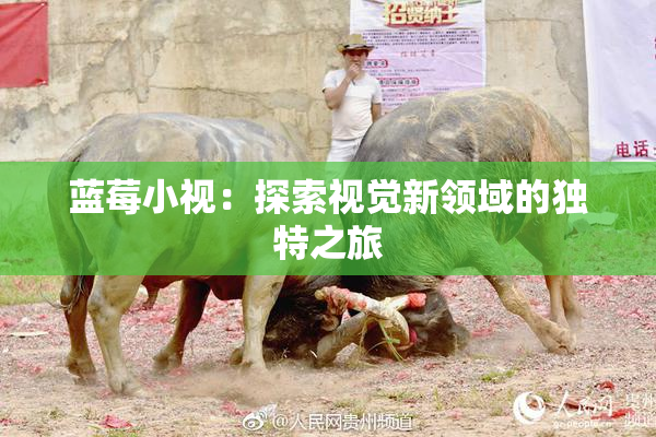 蓝莓小视：探索视觉新领域的独特之旅