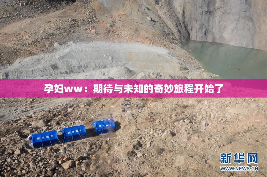 孕妇ww：期待与未知的奇妙旅程开始了
