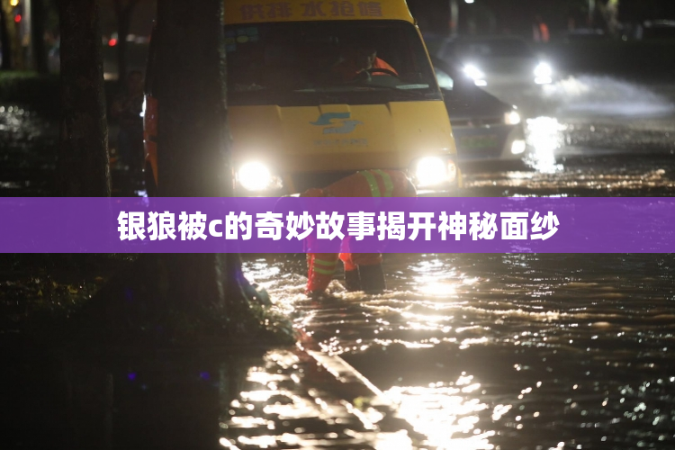 银狼被c的奇妙故事揭开神秘面纱