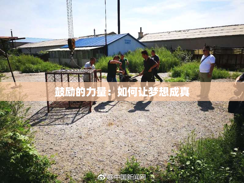 鼓励的力量：如何让梦想成真