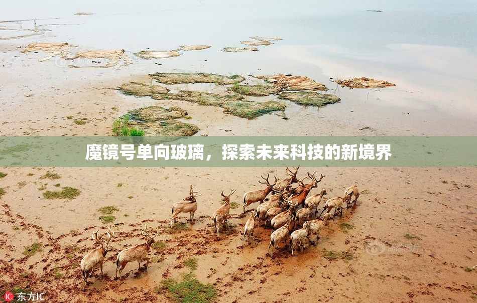 魔镜号单向玻璃，探索未来科技的新境界