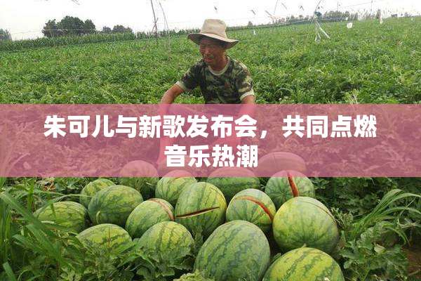 朱可儿与新歌发布会，共同点燃音乐热潮