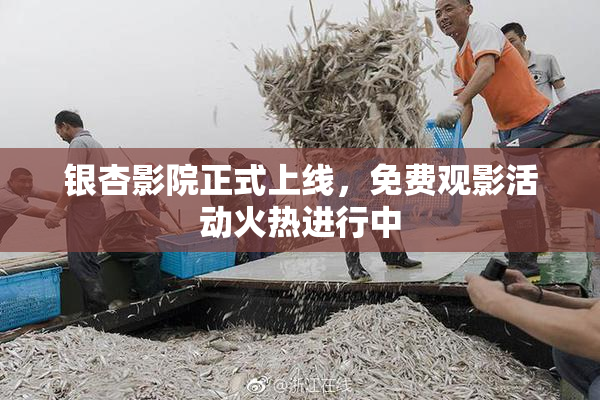 银杏影院正式上线，免费观影活动火热进行中