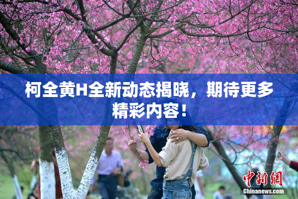 柯全黄H全新动态揭晓，期待更多精彩内容！