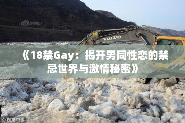 《18禁Gay：揭开男同性恋的禁忌世界与激情秘密》