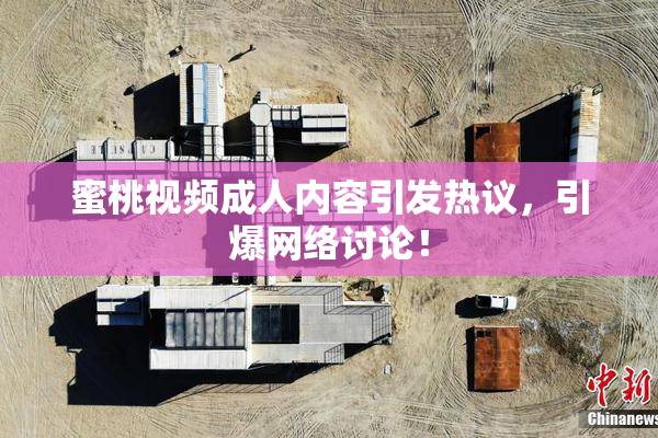 蜜桃视频成人内容引发热议，引爆网络讨论！