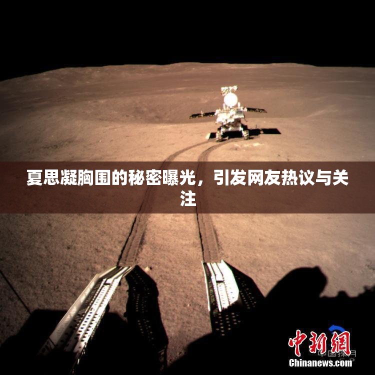 夏思凝胸围的秘密曝光，引发网友热议与关注
