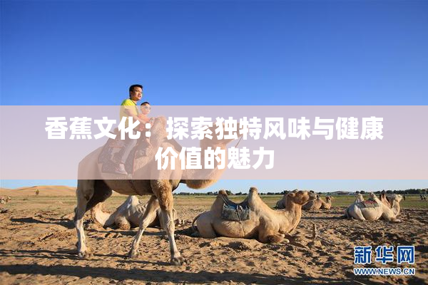 香蕉文化：探索独特风味与健康价值的魅力