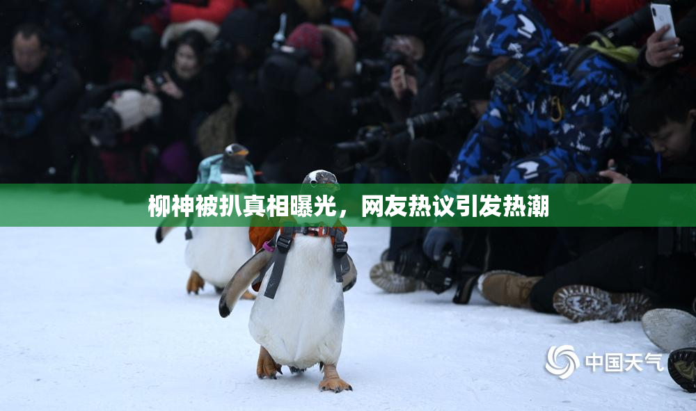 柳神被扒真相曝光，网友热议引发热潮