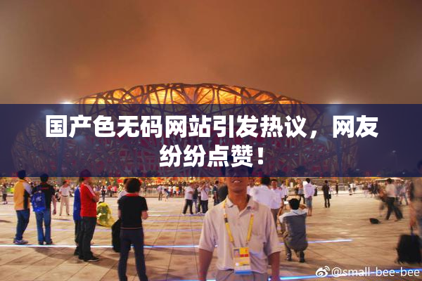 国产色无码网站引发热议，网友纷纷点赞！