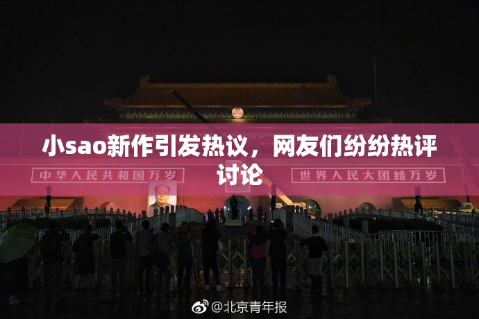小sao新作引发热议，网友们纷纷热评讨论