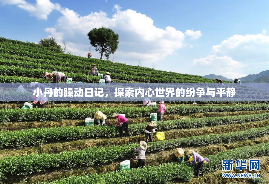 小丹的躁动日记，探索内心世界的纷争与平静