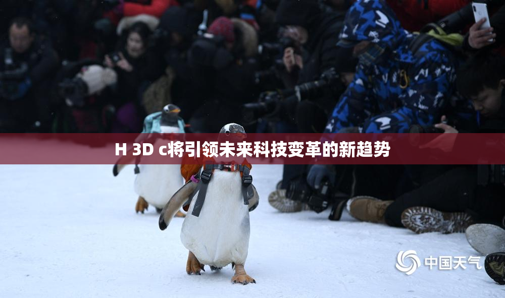 H 3D c将引领未来科技变革的新趋势
