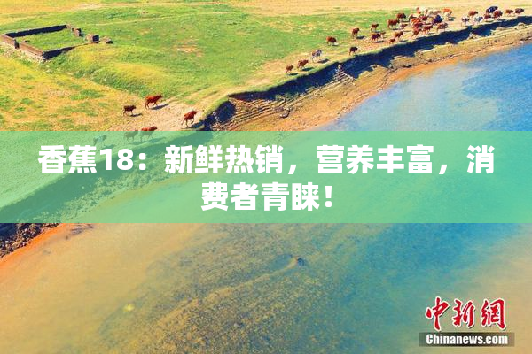 香蕉18：新鲜热销，营养丰富，消费者青睐！