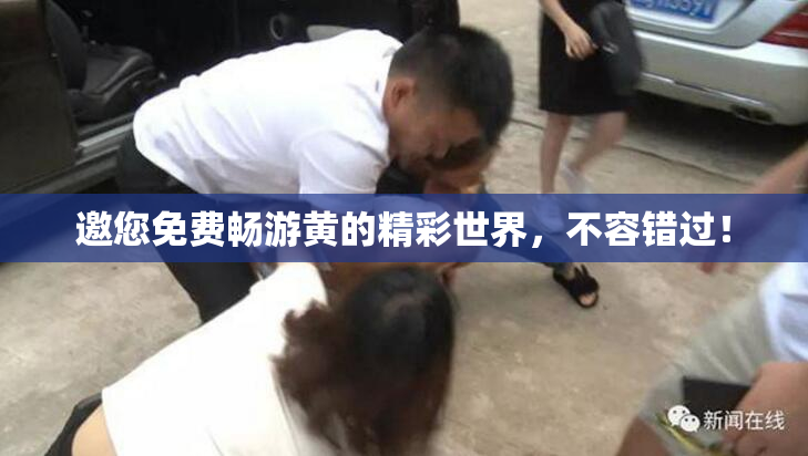 邀您免费畅游黄的精彩世界，不容错过！
