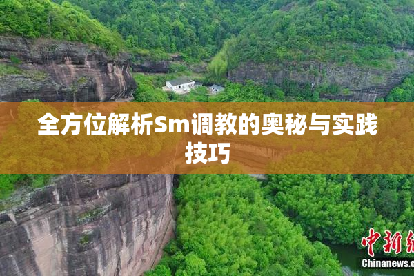 全方位解析Sm调教的奥秘与实践技巧