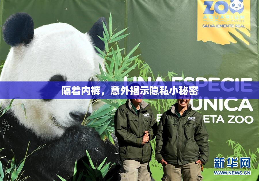隔着内裤，意外揭示隐私小秘密
