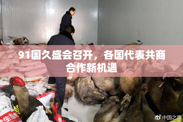 91国久盛会召开，各国代表共商合作新机遇