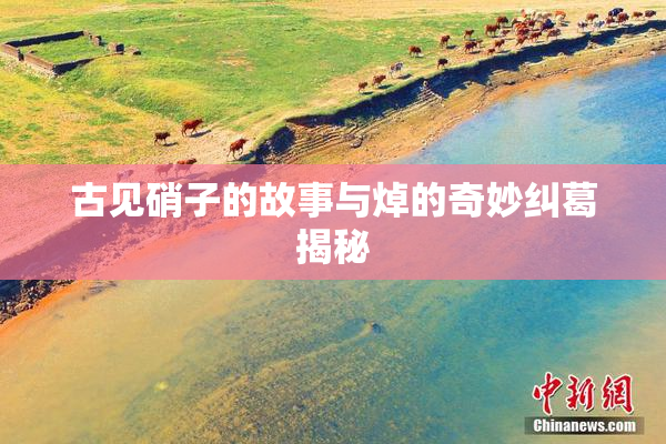 古见硝子的故事与焯的奇妙纠葛揭秘