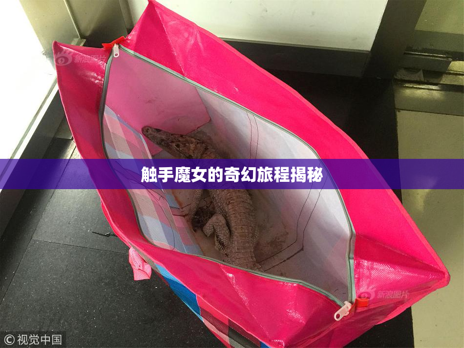 触手魔女的奇幻旅程揭秘