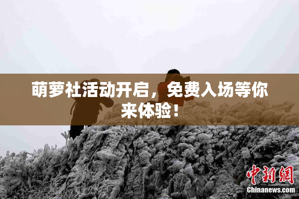 萌萝社活动开启，免费入场等你来体验！