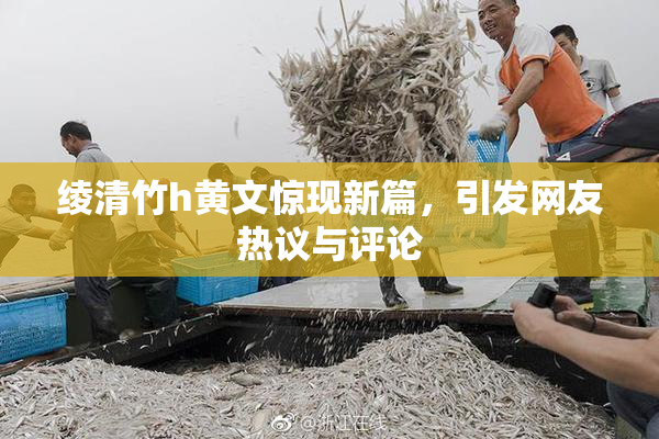 绫清竹h黄文惊现新篇，引发网友热议与评论