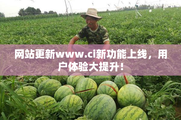 网站更新www.ci新功能上线，用户体验大提升！