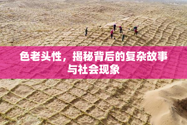 色老头性，揭秘背后的复杂故事与社会现象
