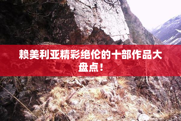 赖美利亚精彩绝伦的十部作品大盘点！