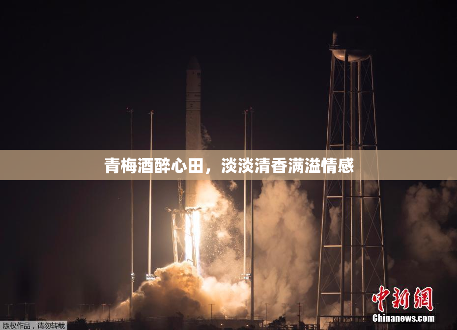 青梅酒醉心田，淡淡清香满溢情感