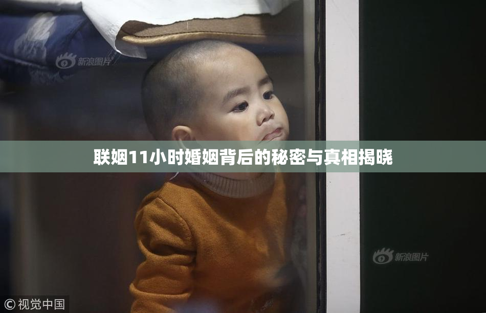联姻11小时婚姻背后的秘密与真相揭晓