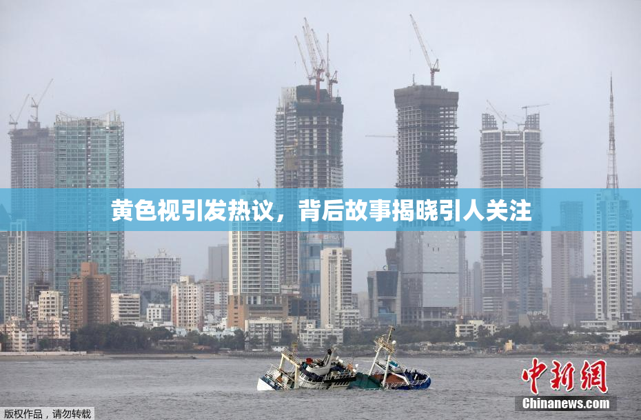 黄色视引发热议，背后故事揭晓引人关注