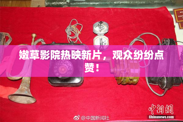 嫩草影院热映新片，观众纷纷点赞！