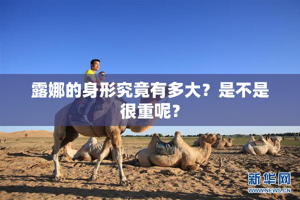 露娜的身形究竟有多大？是不是很重呢？