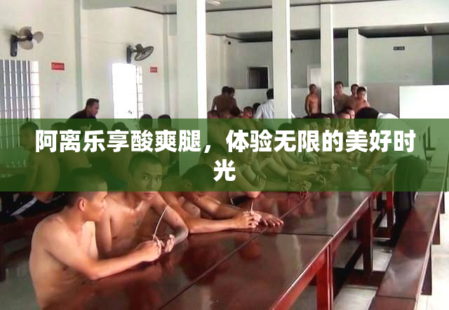 阿离乐享酸爽腿，体验无限的美好时光