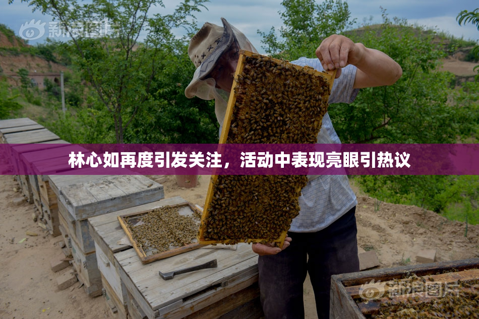 林心如再度引发关注，活动中表现亮眼引热议