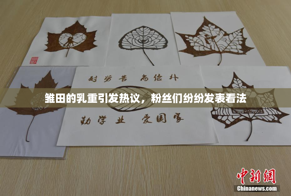 雏田的乳重引发热议，粉丝们纷纷发表看法