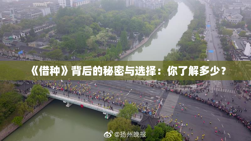 《借种》背后的秘密与选择：你了解多少？