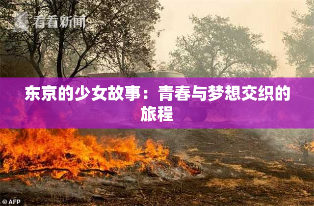 东京的少女故事：青春与梦想交织的旅程