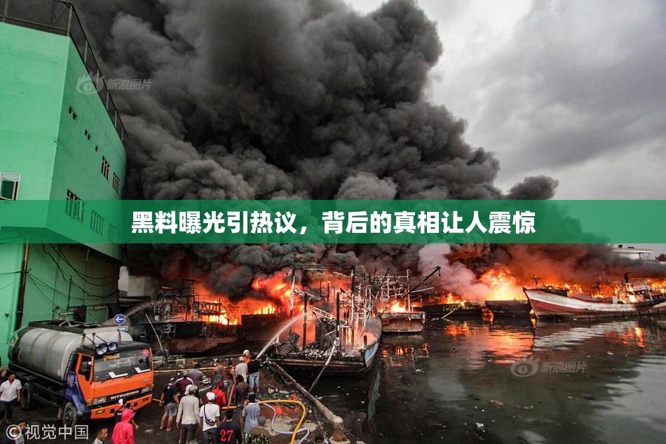 黑料曝光引热议，背后的真相让人震惊