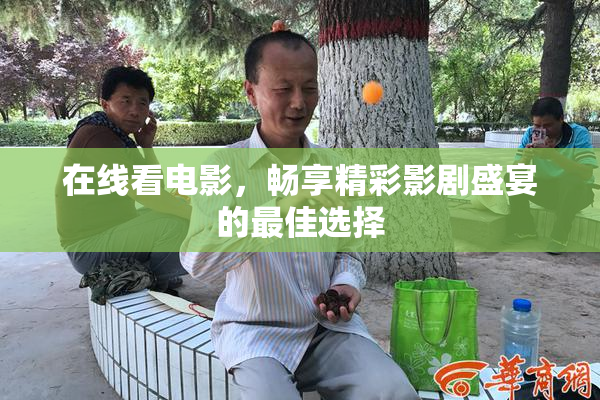 在线看电影，畅享精彩影剧盛宴的最佳选择