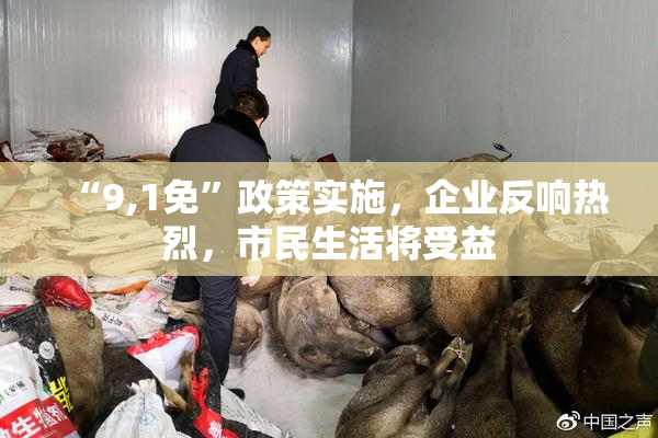 “9,1免”政策实施，企业反响热烈，市民生活将受益