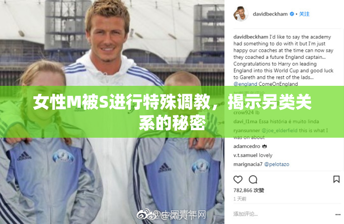 女性M被S进行特殊调教，揭示另类关系的秘密