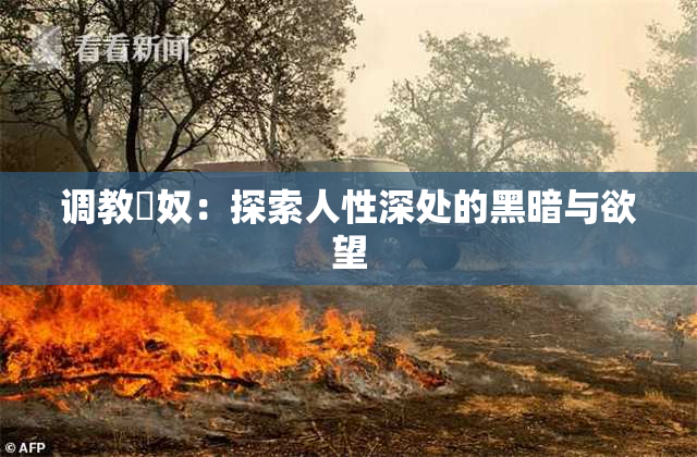 调教婬奴：探索人性深处的黑暗与欲望