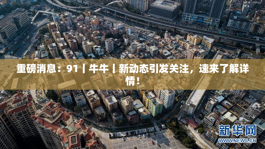 重磅消息：91丨牛牛丨新动态引发关注，速来了解详情！